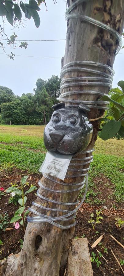 Pousada Sons Do Silencio ソコロ エクステリア 写真